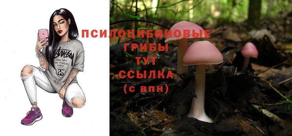 spice Абинск