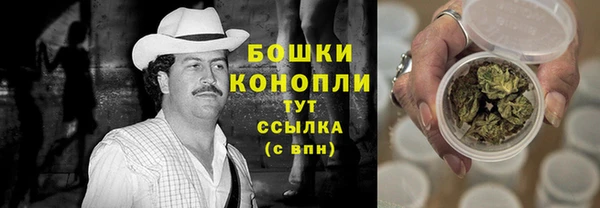 тгк Пестово