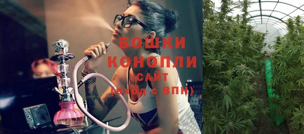 тгк Пестово