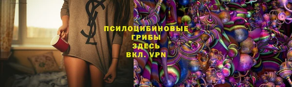 крисы Пересвет