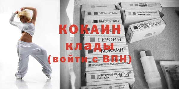 тгк Пестово